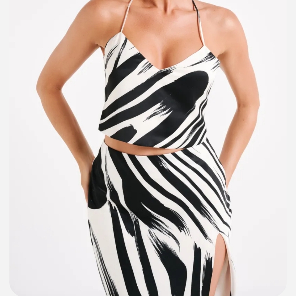 Meshki Zebra Print Two-Piece Set